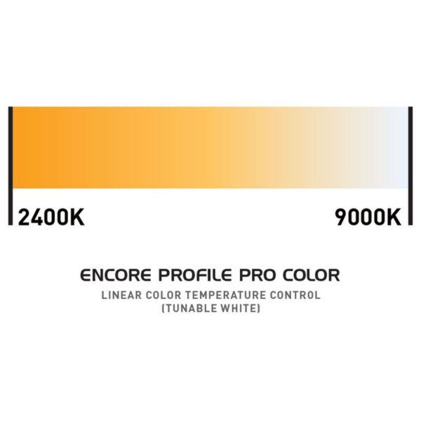 ADJ Encore Profile Pro Color